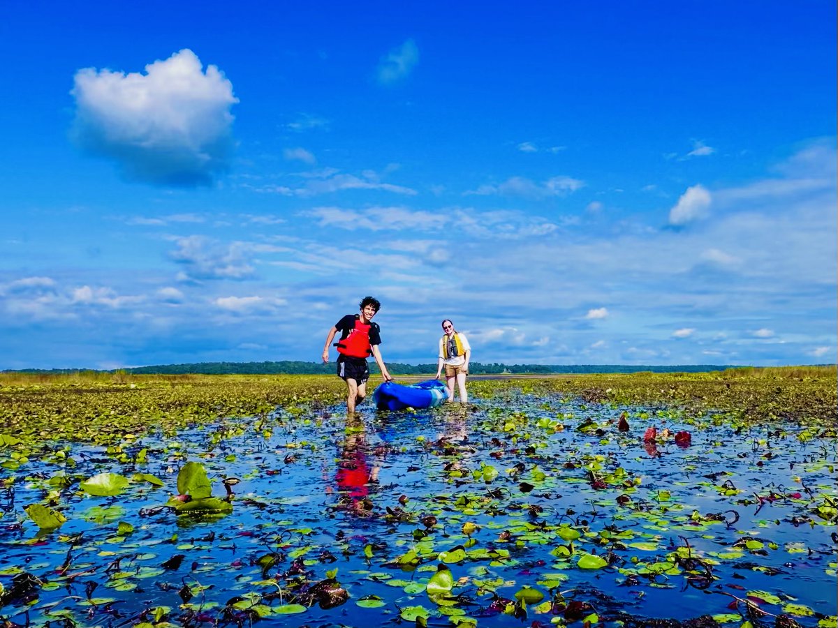 FSUartssciences's tweet photo. How field trips can look when you're a student at @FloridaState... 😎

Ming Ye, a professor in @FSU_EOAS and faculty affiliate of @FSUSciComp, recently provided students in his Principles of Hydrology course the opportunity to kayak and canoe the Lake Jackson Aquatic Preserve — only a 20-minute drive from FSU.

Lake Jackson is the only freshwater lake system in Florida unaffected by engineering constructions such as dams and canals. Instead of using manmade means to manage the ecosystem, Lake Jackson periodically dries out, which spurs a self-cleansing process that hinders invasive plants and restores conditions for native fish breeding, for example.

In getting up close and personal with the lake, students learned more about watersheds and how their quality and quantity can evolve over time. The field trip was preceded by a guest lecture from @LakeJackson850's Sophie Wacongne-Speer, who spoke about the lake’s past, present and future conditions. The students' kayaks and canoes were provided by the Lake Jackson Aquatic Preserve under @FLDEPNews.

To learn more about Ye's hydrology research, which was recently funded by the Florida Department of Environmental Protection, visit: https://t.co/hclI1JTK2n.

📸 Ming Ye and Laura Short