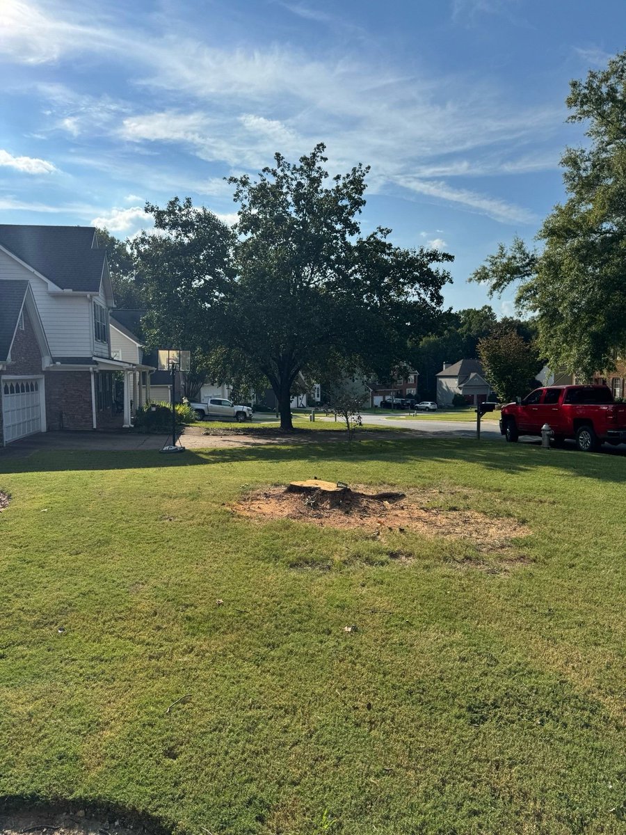 appalachian_of's tweet photo. Hiram, GA: large four-trunk Bradford pear removed with very low yard impact and excellent cleanup. Before photos were not captured; this shows the completed work and stump area. #HiramGA #TreeRemoval https://t.co/IJO4ILdyVV
