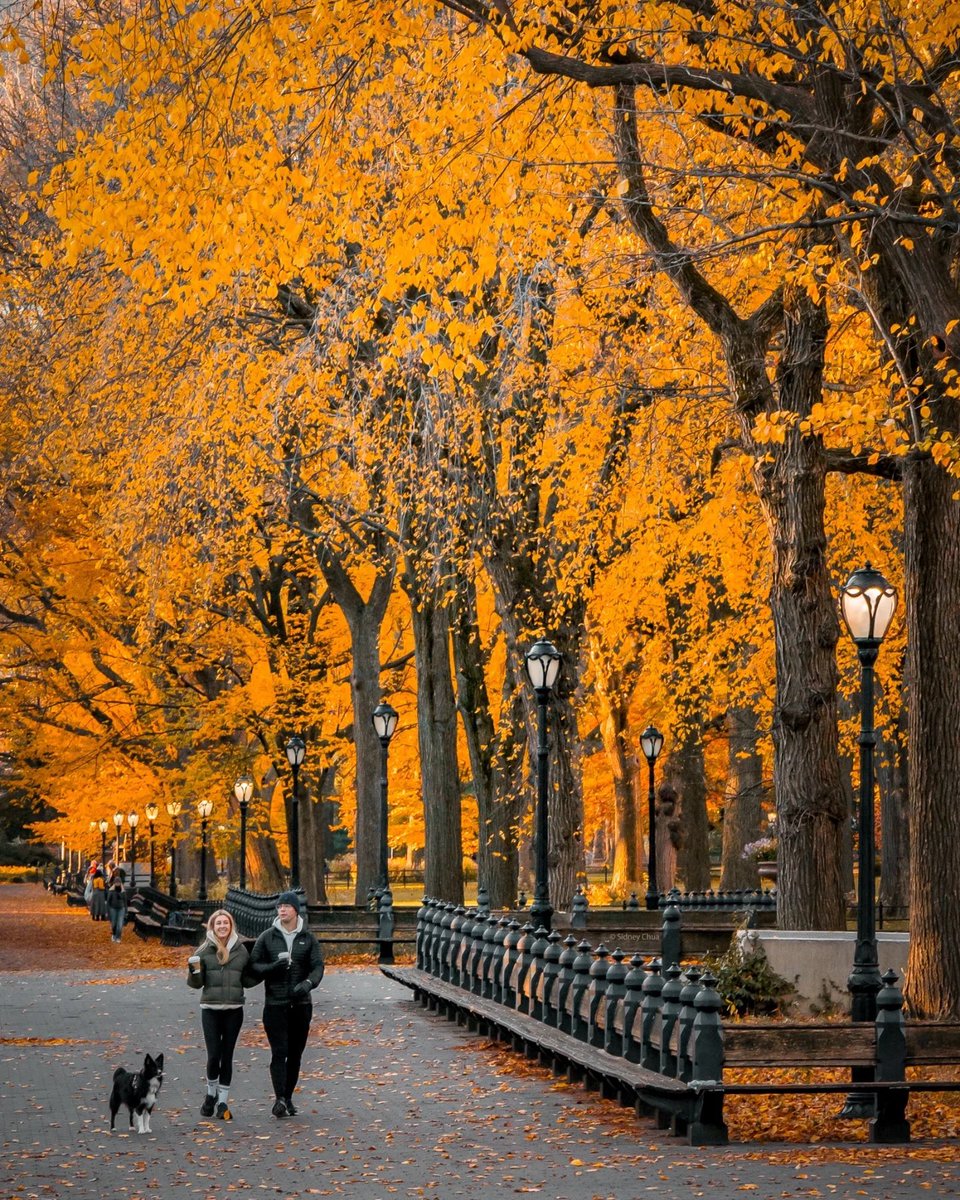 ScopeWorldX's tweet photo. Central Park New York https://t.co/HLA5GYt1WW