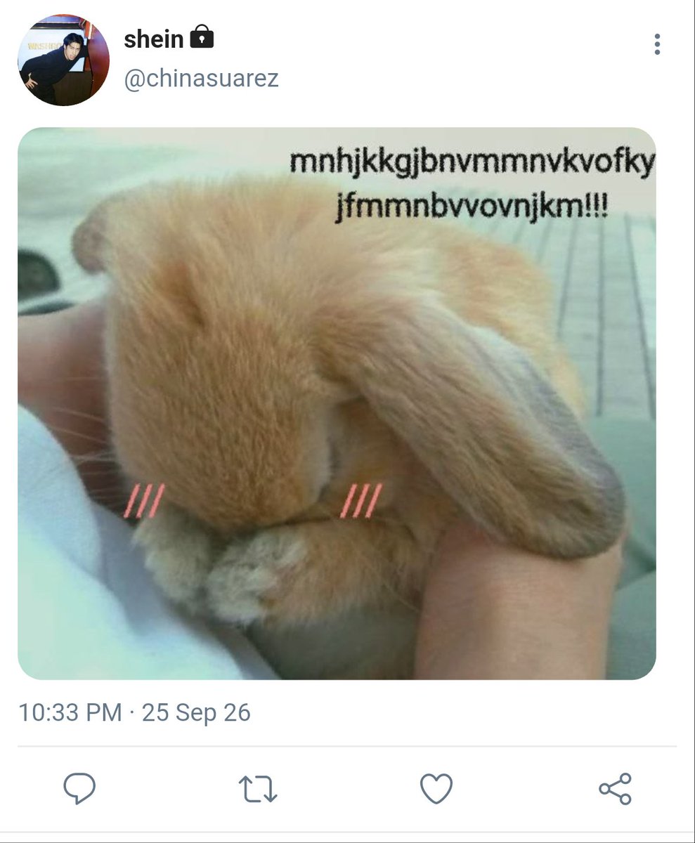 nwehollanov's tweet photo. 141. https://t.co/y9DhGQThCc