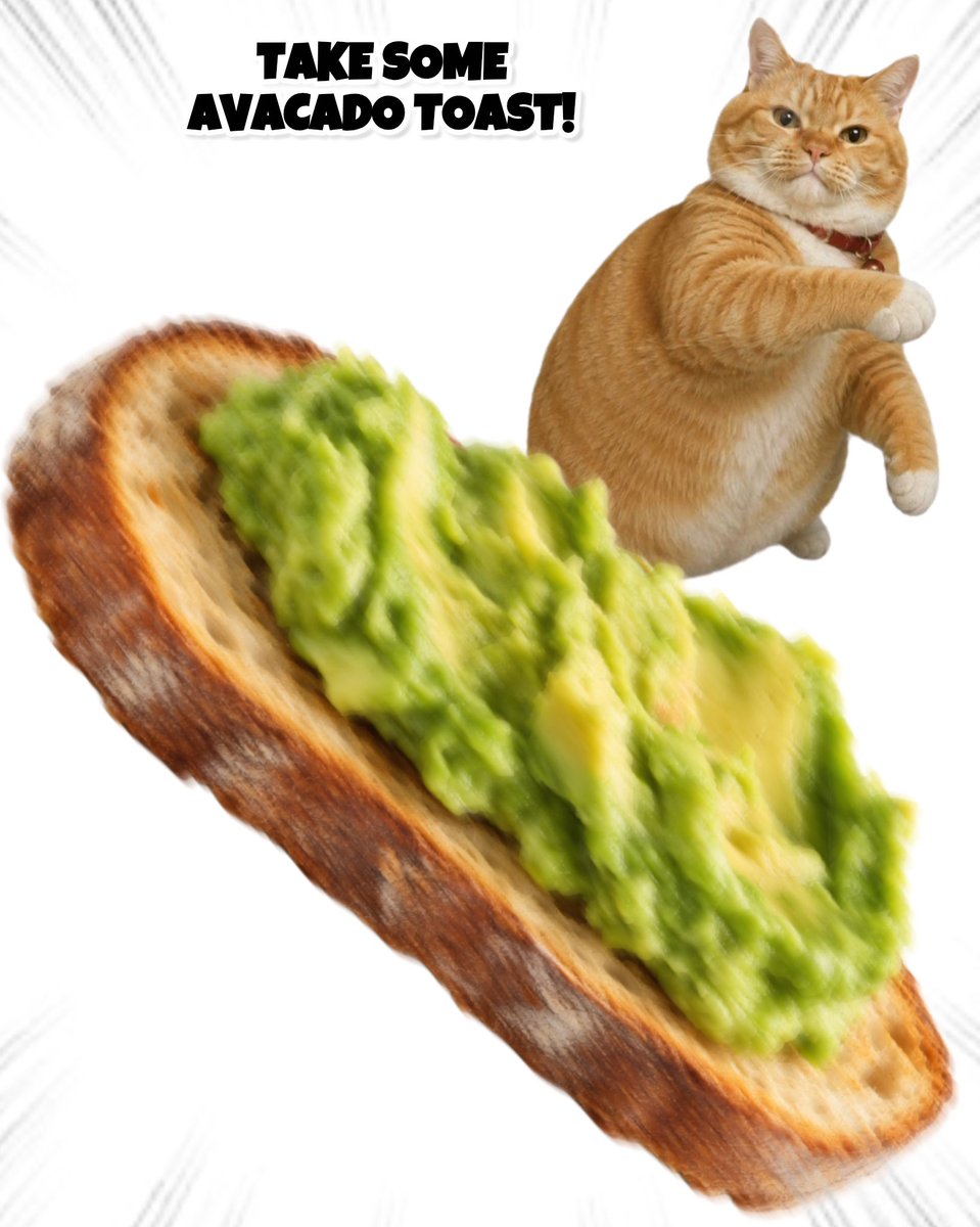 ThrowingObjects's tweet photo. Take some Avavado Toast! https://t.co/jfhKQScSZ8