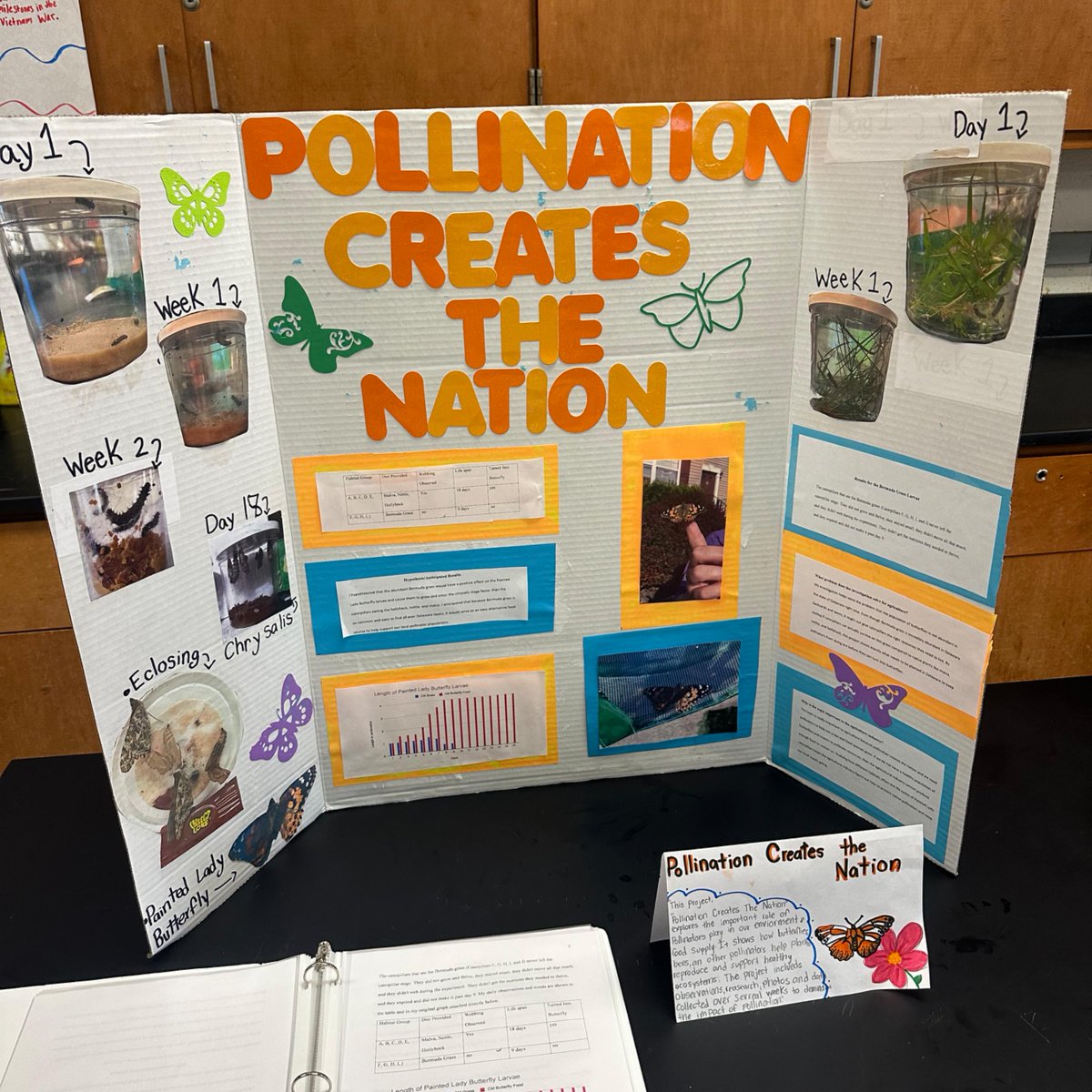 GeorgeKirkMS's tweet photo. Students in our FFA classes presented their projects today and worked through critiquing progress in small groups. Students were proud to show off their hard work! https://t.co/cqFBzN3jtH