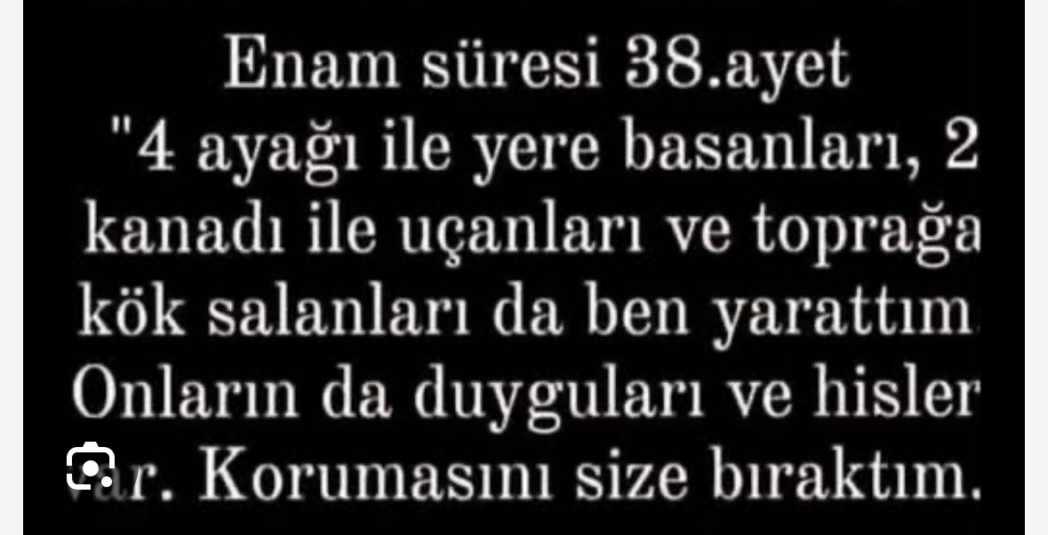Demir2020205's tweet photo. @FaTuRa014680 @magazin_eki yolluyor.tabi allah siz bu canlari katledin aç susuz bırakın aşırı doz anestezi ile öldürün diye yarattı sen içindeki bu pislikle cennetede gitmeyi hayal edersin! ailenden çıkmasında dicem inşallah o hepimizin inandığı allah sana öyle bir dert verirki şu x e girecek halin kalmaz https://t.co/fwei2b5tPG