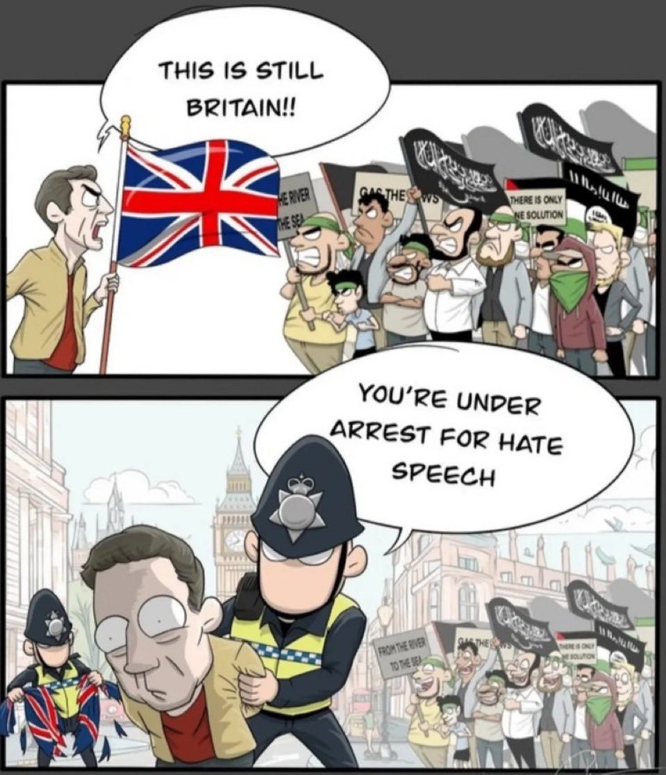 Truthseeker2213's tweet photo. @Melgibsonact Rapists, killers &amp; criminals are roaming the streets in the UK.Entire suburbs are no go areas due to Sharia law operating, cops won't go there. THESE cowardly cops choose to arrest a British Patriot for a comment made re not wanting to see the Palestinian flag flying. TRULY VILE! https://t.co/rZlMOqsR0Z