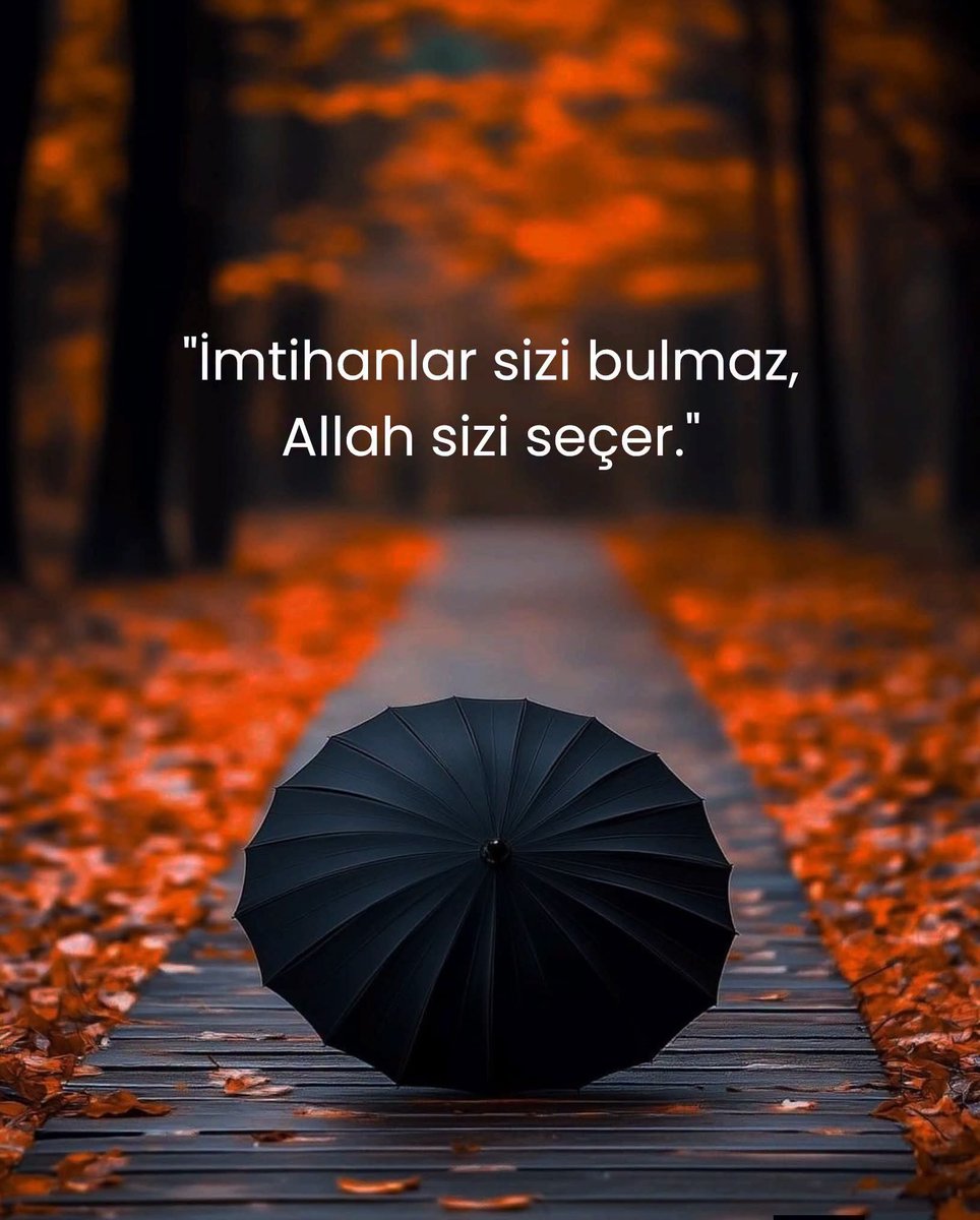 EKazimim's tweet photo. 😭😭😭😭 https://t.co/pXTtMGasIJ