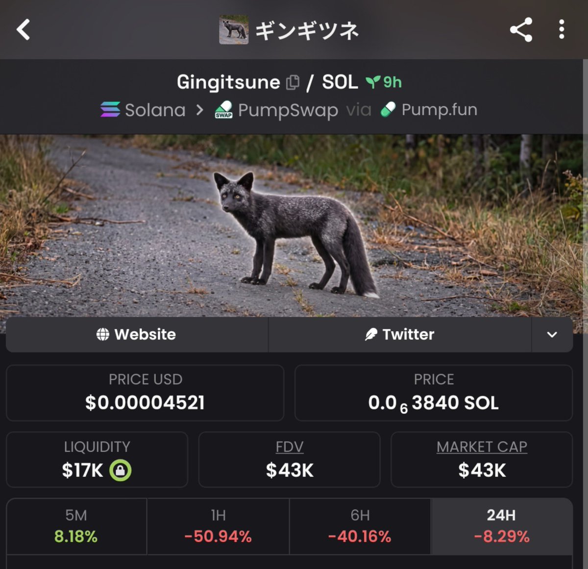 kanakesol's tweet photo. The nigga fox!

$Gingitsune https://t.co/GUgtGddoBQ