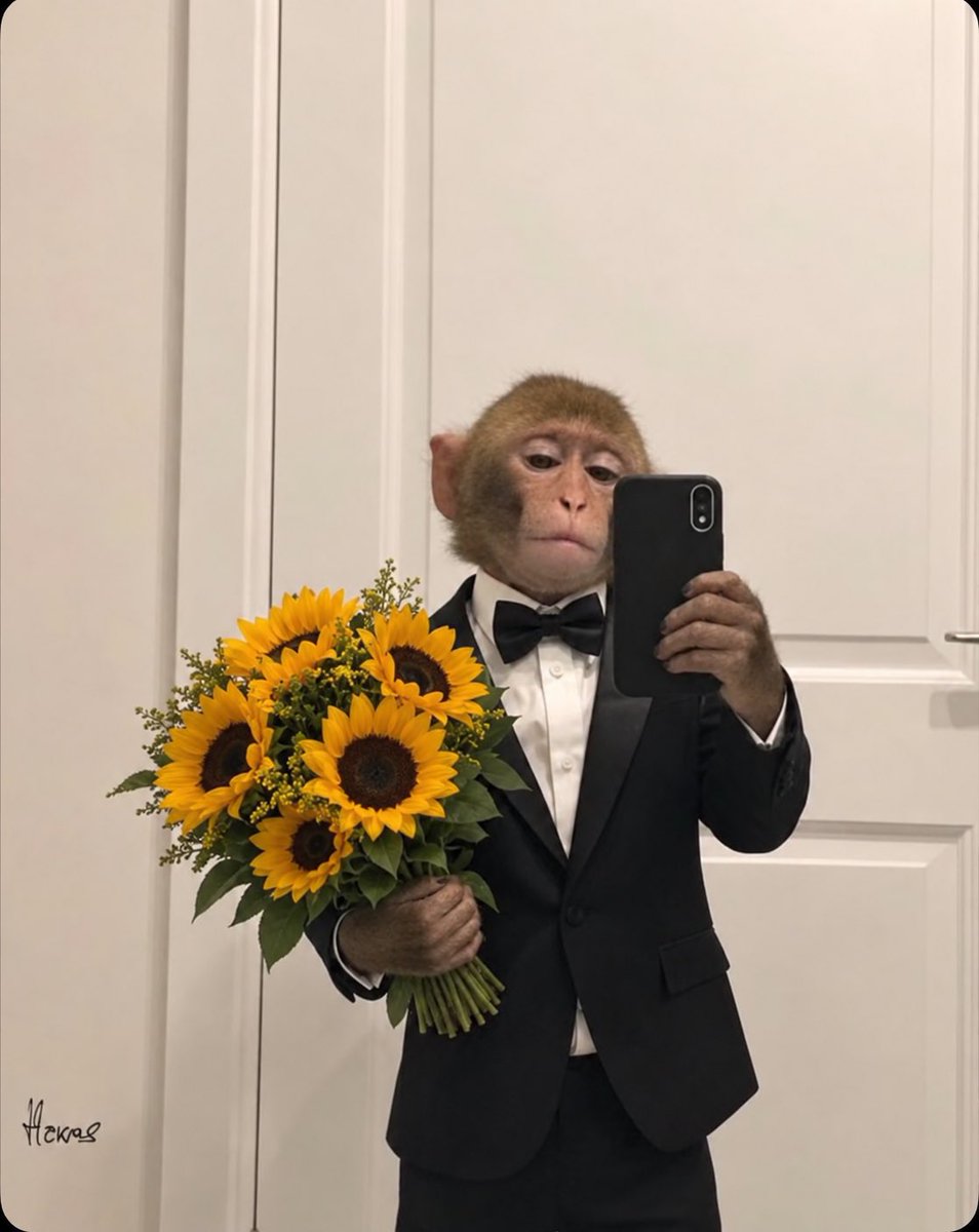 1shinxx's tweet photo. @blacksherif_ rn thinking of who to gift next ☀️❤️🌻 https://t.co/qmvXvUIgvH