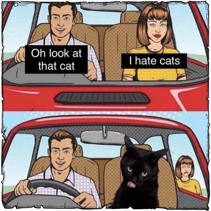 A comic shows a man driving saying 'Oh look at that cat' to a woman in the back seat saying 'I hate cats', with the punchline showing a large black cat sitting in the passenger seat.