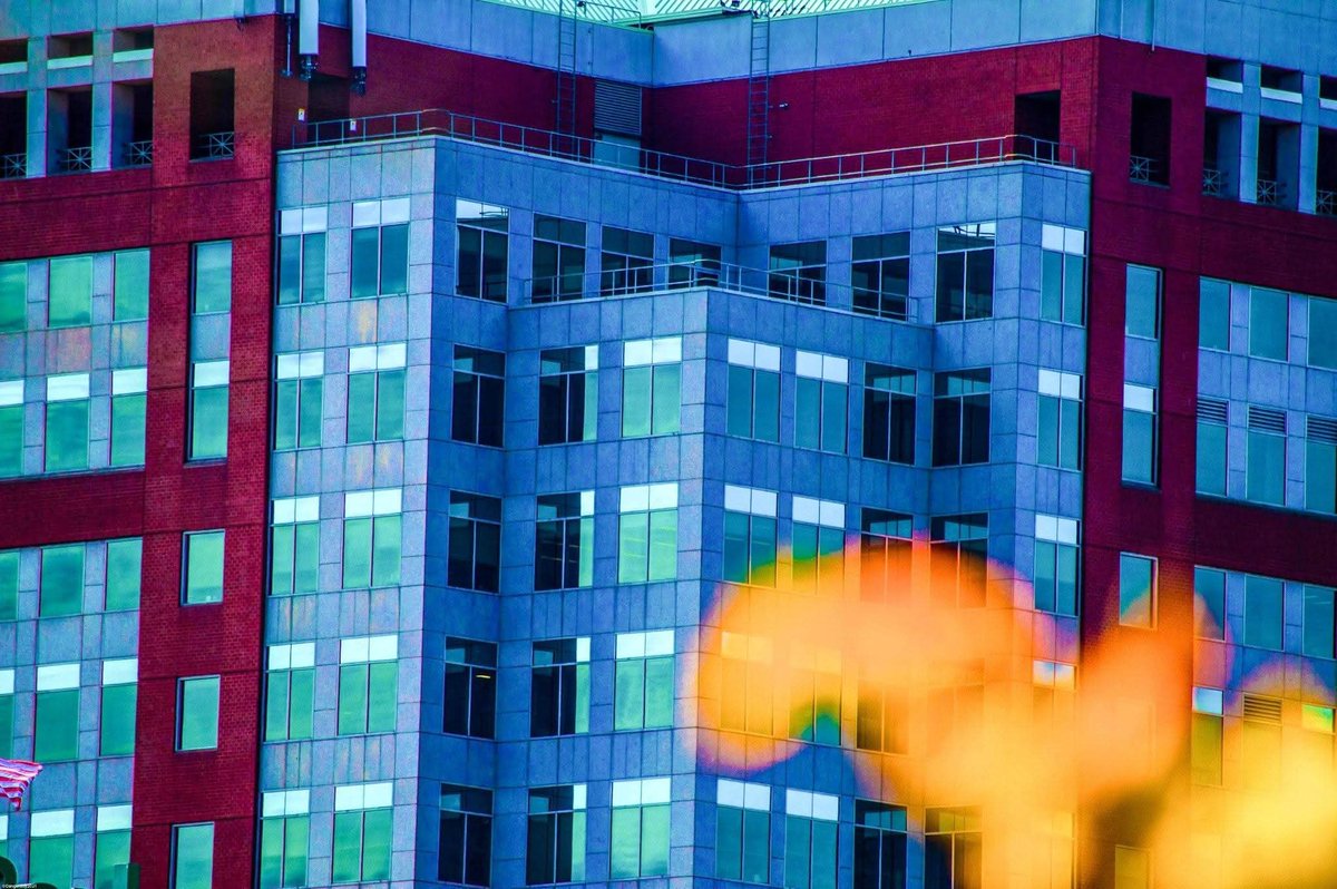 SeacoastP21079's tweet photo. Color manipulation https://t.co/8c4PlFoLkh