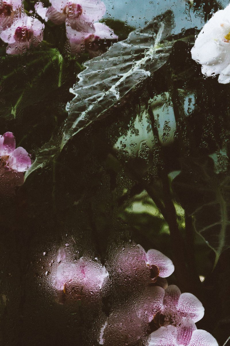 aestheticpost's tweet photo. https://t.co/blF1TjGGQ8