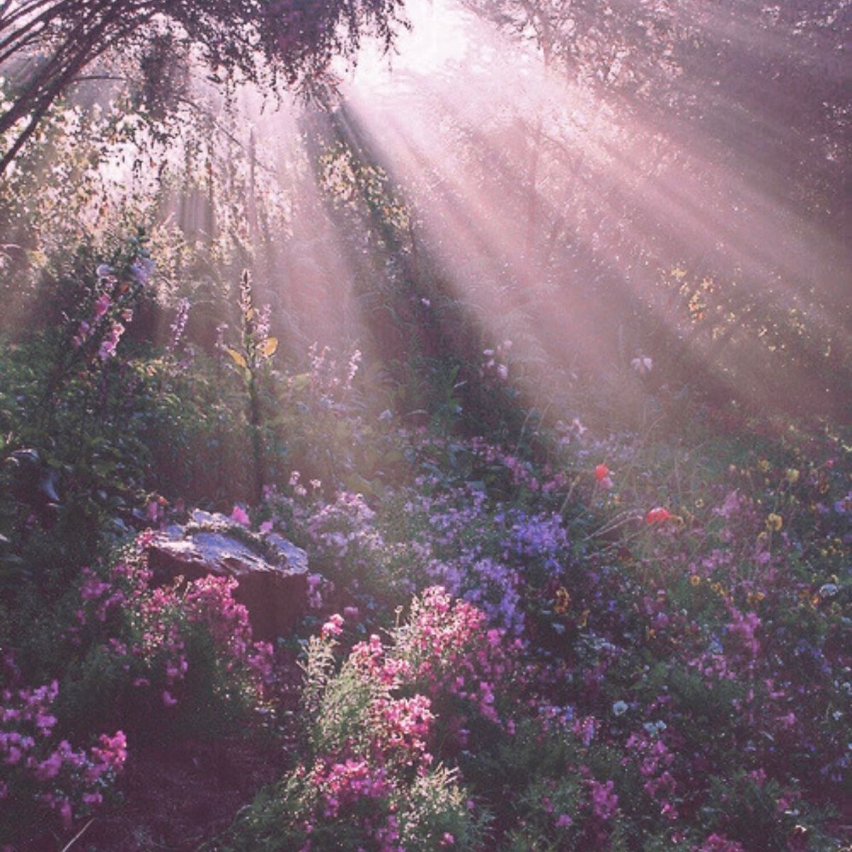 aestheticpost's tweet photo. https://t.co/MSDp7Yt5K8