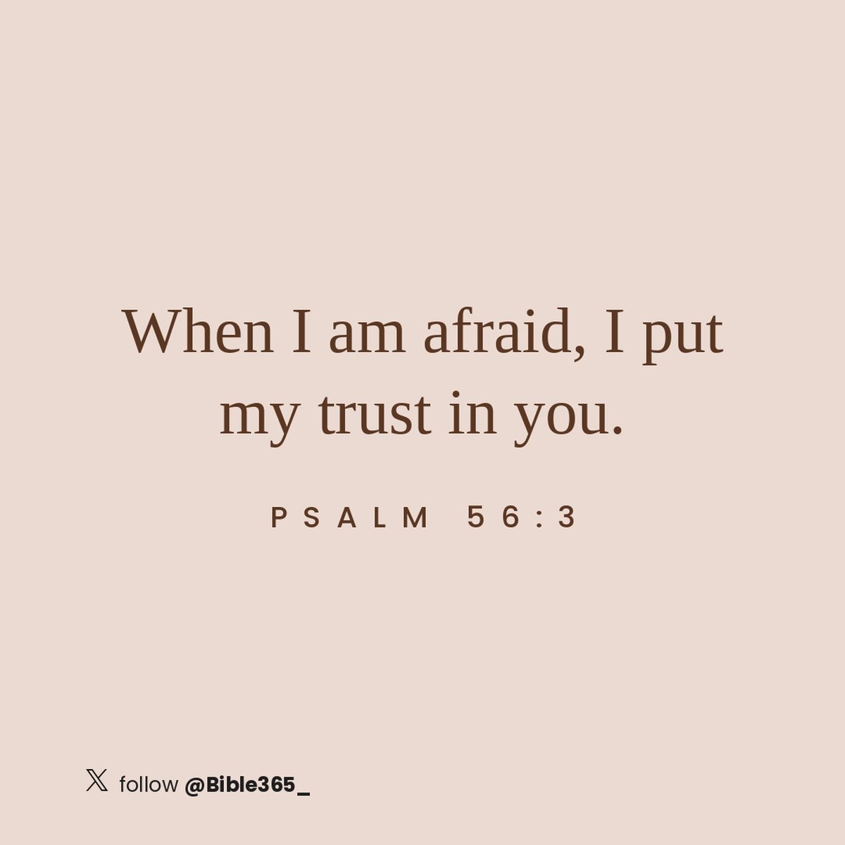 Bible365_'s tweet photo. https://t.co/mSqZ0pi42M
