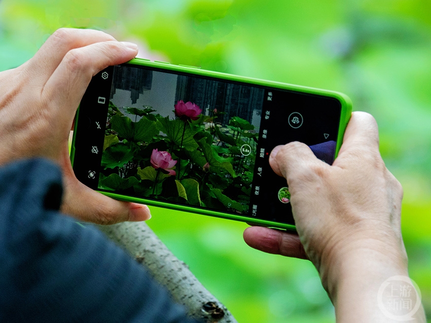 trulalofthbvl's tweet photo. Quieres cultivar un nuevo interés Prueba la fotografía con tu teléfono No necesitas equipo caro!， https://t.co/seTnnZN8Lk