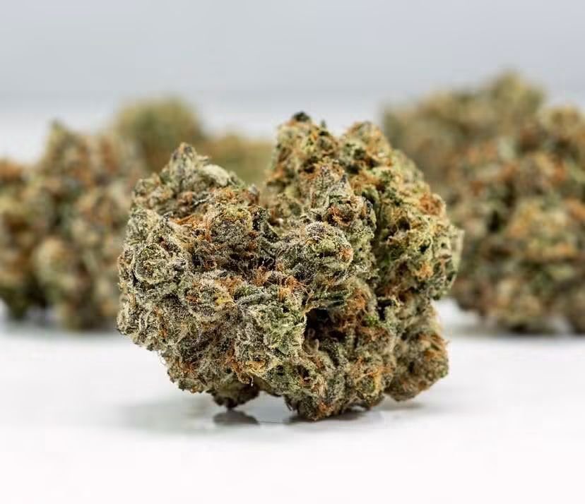JennaJoy0brv's tweet photo. Sweet Dreams 🌙💅🏻 #greenqueen #grower #smoker #baker https://t.co/nl9KLjYrWF
