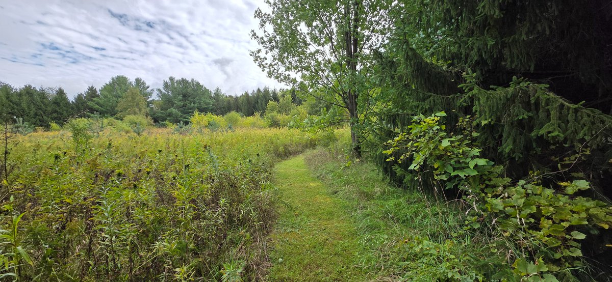ypgausa's tweet photo. Take a look at this beautiful walking path completed by the YPGA team!
We're so happy with how this turned out and love seeing how a thoughtfully designed path can add both function and character to a property.

Call 262-470-3829 to schedule! https://t.co/SjTbnP39OI