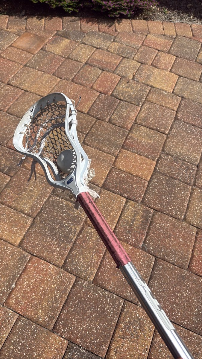 mikebarrettt's tweet photo. Twig dox https://t.co/euNMOksZWu