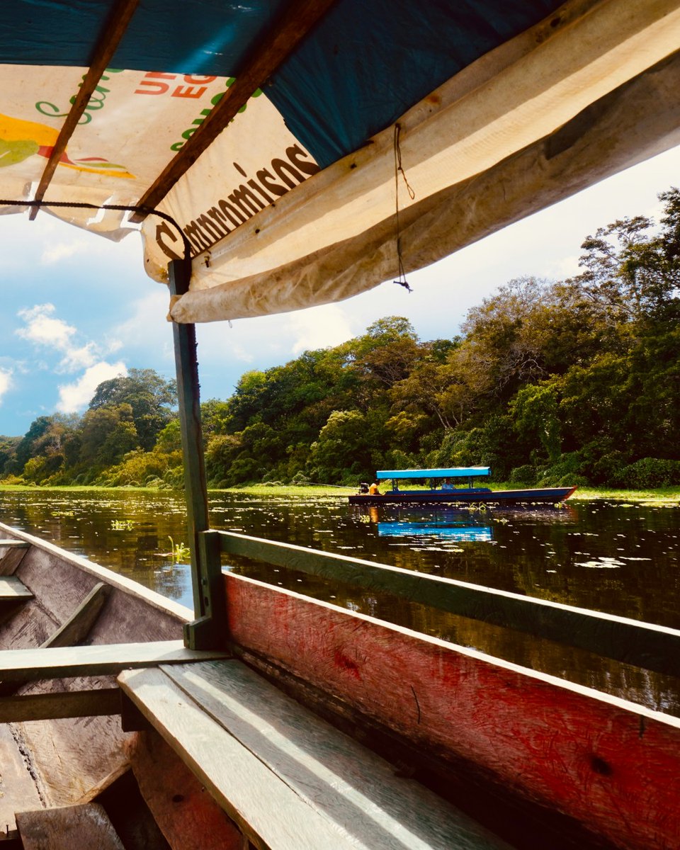 whyleavehome's tweet photo. Caño Cristales in Colombia only shows its red, yellow and green riverbed colours from roughly July to November. A licensed guide is required and you fly into La Macarena from Bogotá, so plan ahead. https://t.co/4JJSKLAqgU #Colombia #TravelPlanning https://t.co/XMwAej9jhY