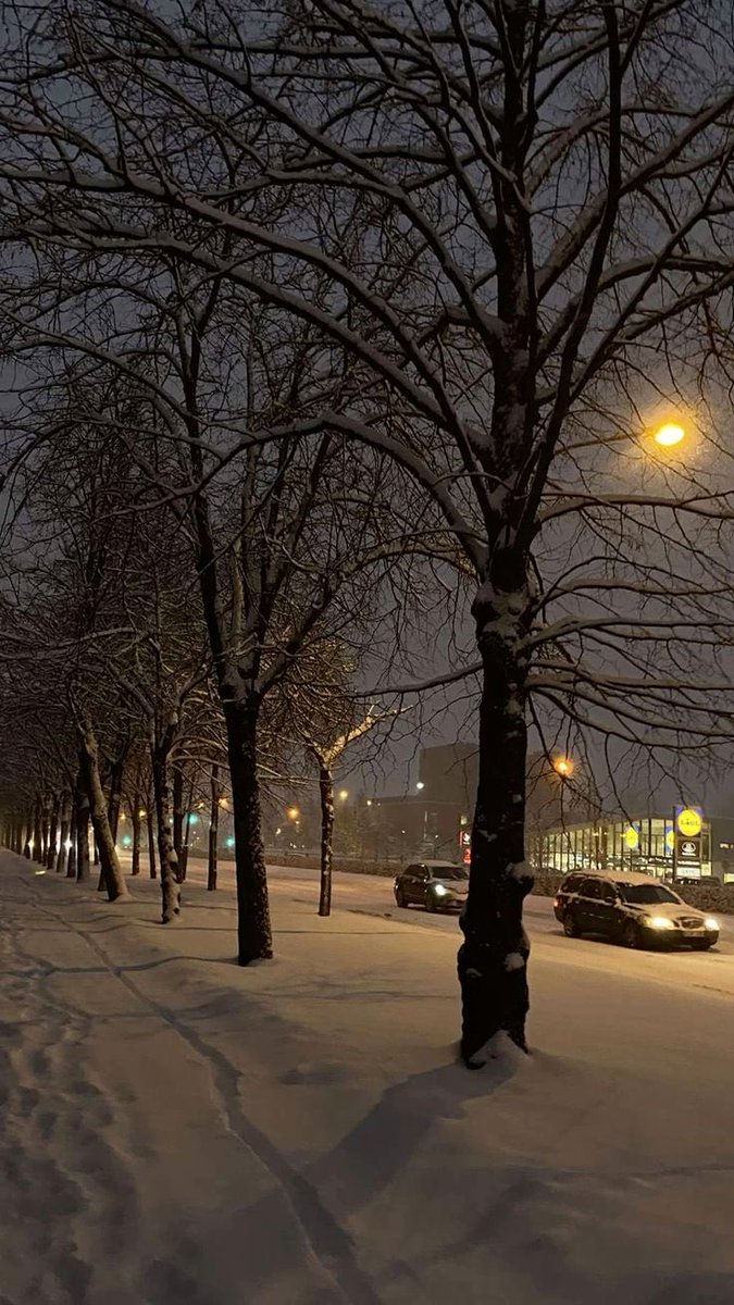SorinaValeanui's tweet photo. Sincer? Moldova iarna are ceva ce nu pot explica.

E frig, e liniște, străzile parcă se schimbă complet… și tocmai asta îmi place cel mai mult.🤍🇲🇩

#Moldova #Iarna https://t.co/7yXN3ufTFJ