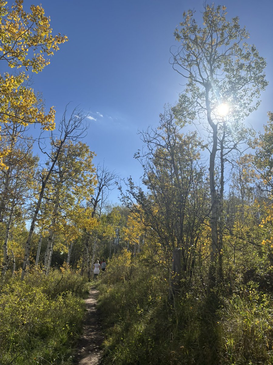 JondoQ34's tweet photo. Utah is beautiful 

#utah #FallDecor #NatureBeauty https://t.co/4pvZGALDtL