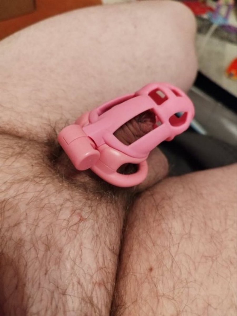 ggoddessElle's tweet photo. Do you have a shrimp 🍤 c*ck ?
Then you qualify for my itty bitty clitty committee!! 

Findom paypig BBC bnwo cage feminization Sissification sissyslut pegging blacked cuckold goon sph cbt

#findom https://t.co/L1OTjWMsNZ