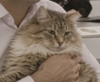 0xNapoleans's tweet photo. they HAVE A CAT NAMED LEO WHO IS THE COMPANY MASCOT,

HE DIED IN 2023 https://t.co/QSNKJJy6hQ