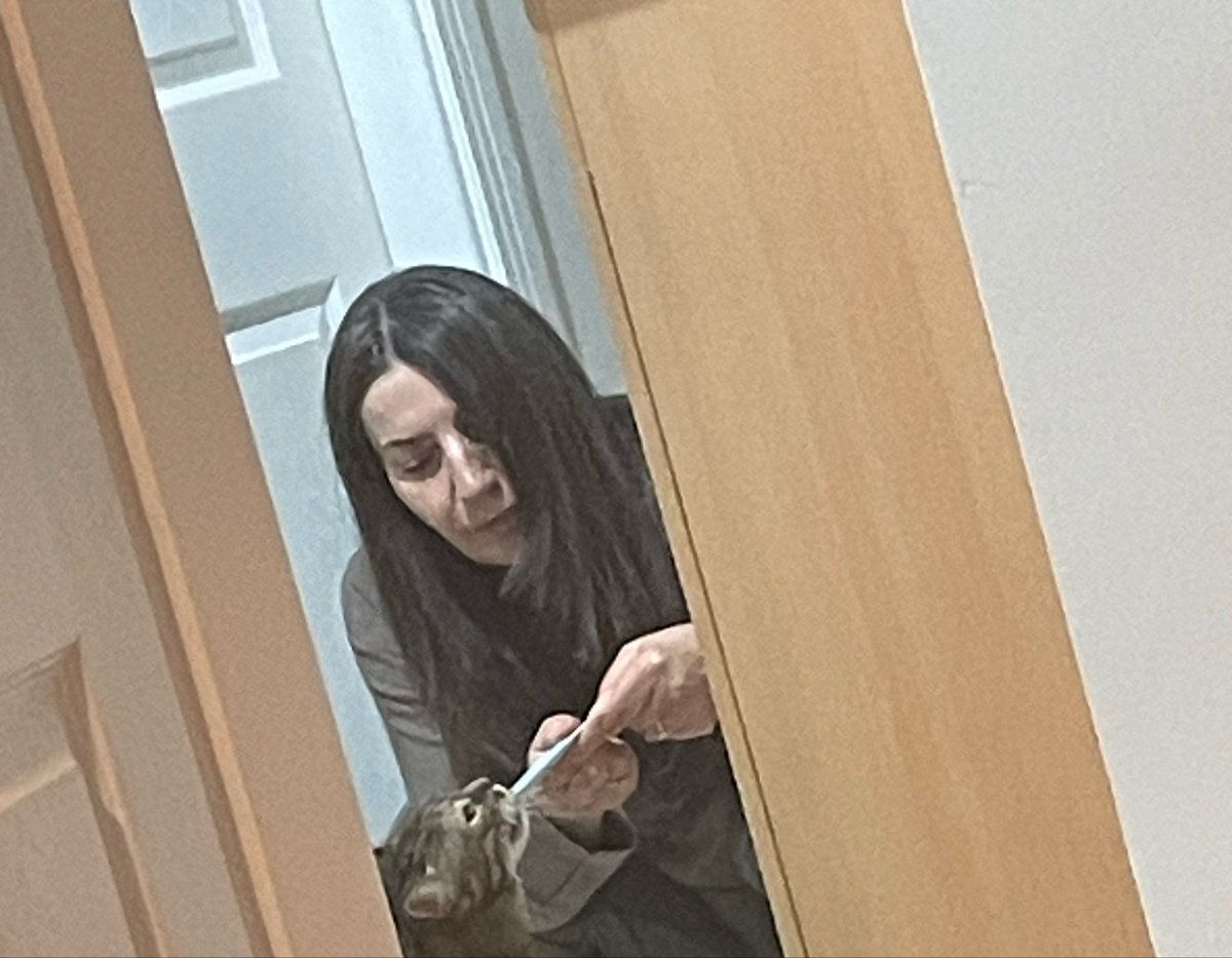 ordekseverimm's tweet photo. Şimdi barışmaya çalışıyorlar https://t.co/17oYcWpmvj