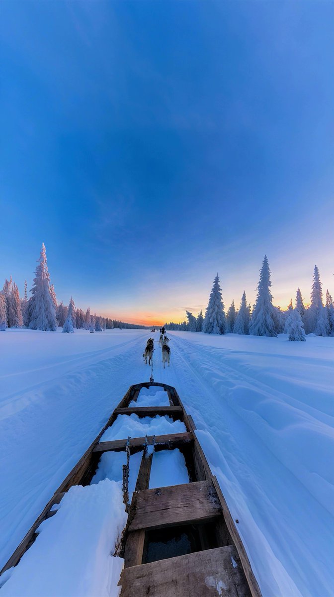 viewsoff's tweet photo. Winter in Finland 🇫🇮 https://t.co/wCygncavPy