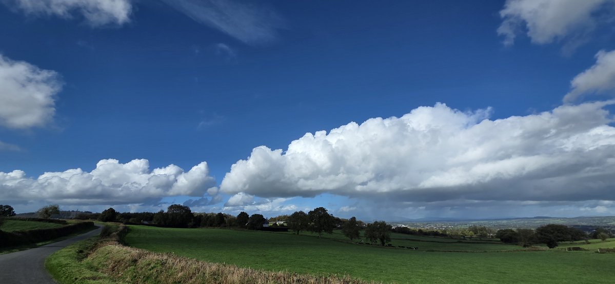 fitzyok's tweet photo. Lá scuabach tirim inniu taobh amuigh de fho chith(blustery dry day today apart from a few showers). Stoc breá sásta sa ghort(happy cattle in the field). Sméara dubha fós ach ró dhéanach piocadh (blackberries still put too late to pick).
#365daysofGaeilge
#365daysofwalking https://t.co/NuoUNZqwuv