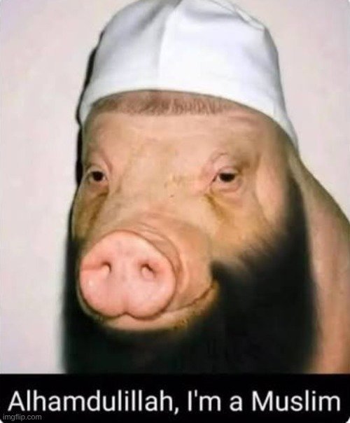 Alex_rod1's tweet photo. #islamshit https://t.co/EGkFjiAcAv