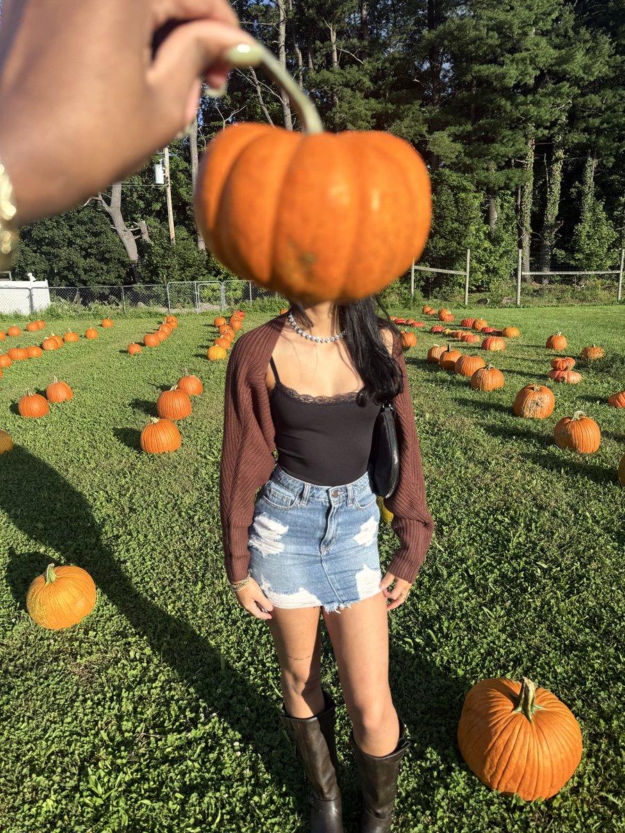 orbitariii's tweet photo. 🎃 https://t.co/sqglCCuSV0