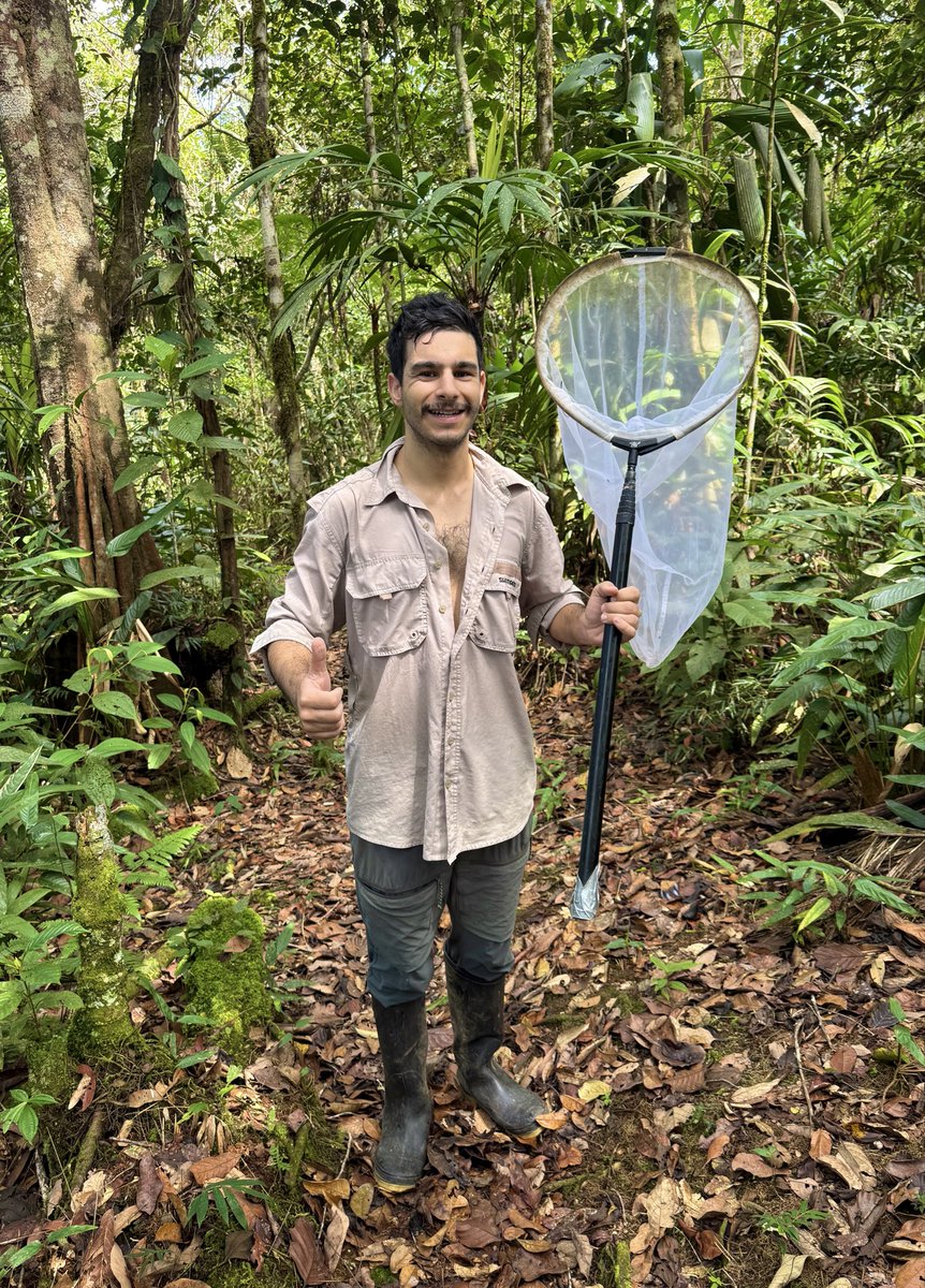 nvolpewild's tweet photo. Sweaty hike in the Amazon! 🌳🥵
Butterflies were found! 🥰🦋 https://t.co/nJX1yc6KFr