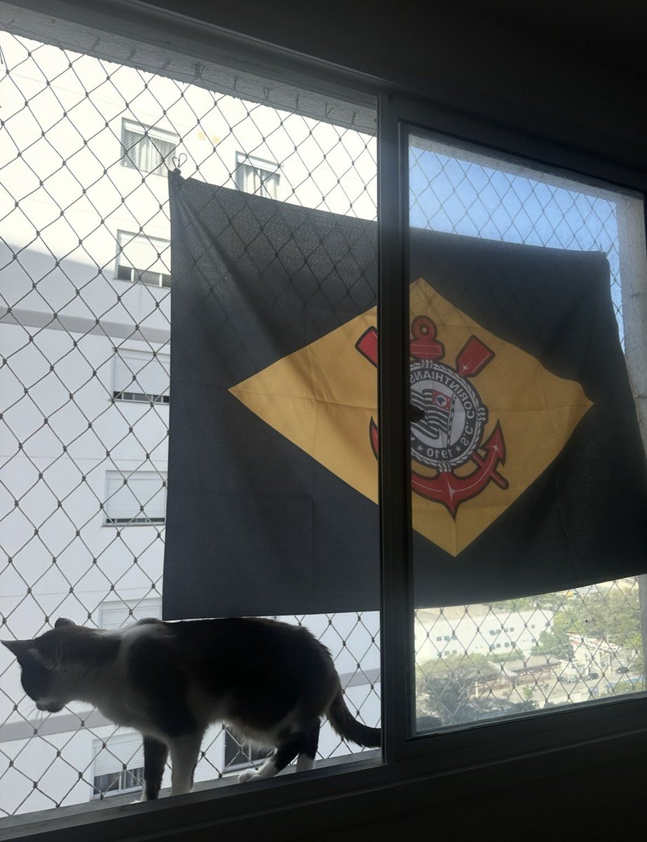 flawedapple's tweet photo. tomei multa por colocar a bandeira do corinthians na janela vsf https://t.co/WiQJwf08Zp