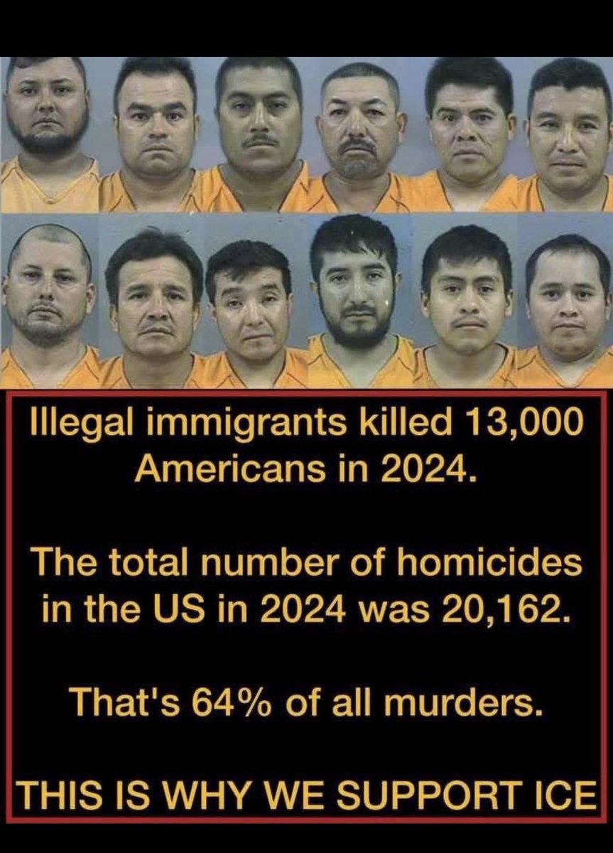 Tom2750J's tweet photo. @BrianKarem What about the 13,000 Killed by the Democrat’s Illegals ???? https://t.co/EaqFEoi90E