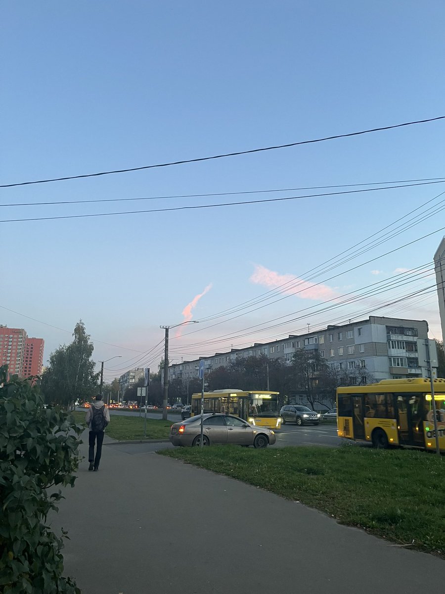 elisaobetta tweet picture