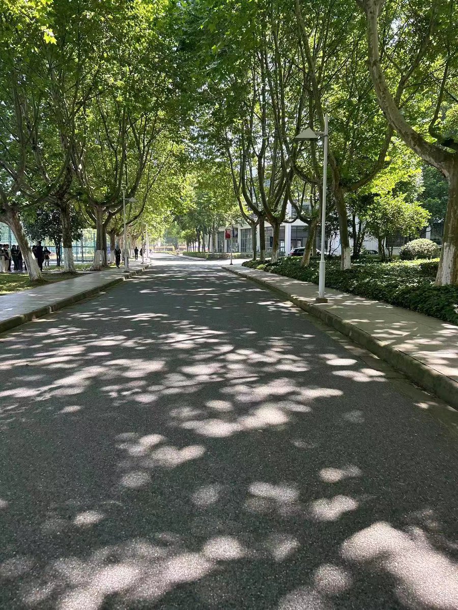 Kristanste1bh's tweet photo. Hoy hace un sol perfecto para salir a caminar y disfrutar el aire fresco de la primavera. https://t.co/X552CEBKU9