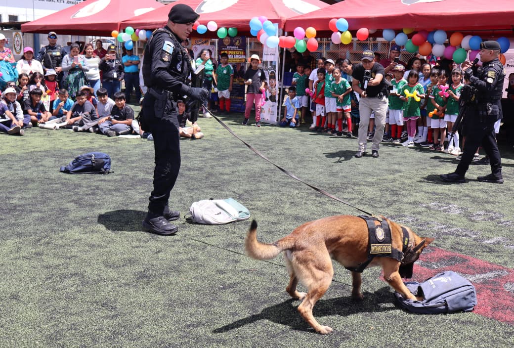PNCdeGuatemala's tweet photo. Durante la jornada, los agentes compartieron con niños del sector, promoviendo valores, convivencia y una cultura de prevención. En la actividad participaron #DIP, #DIPANDA, #DISETUR, #DIPRONA y #SGAIA, que entregaron material educativo a los participantes.
#ProtegerYServir https://t.co/8AFL3AVajB