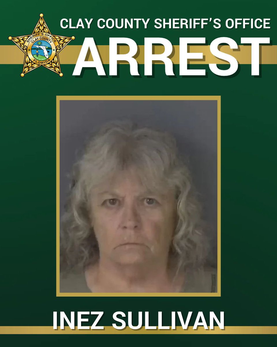 ccsofl's tweet photo. 𝐆𝐔𝐀𝐑𝐃𝐈𝐀𝐍𝐒𝐇𝐈𝐏 𝐓𝐀𝐒𝐊 𝐅𝐎𝐑𝐂𝐄 𝐀𝐍𝐍𝐎𝐔𝐍𝐂𝐄𝐒 𝐅𝐈𝐑𝐒𝐓 𝐀𝐑𝐑𝐄𝐒𝐓

After a detailed and thorough investigation by our Guardianship Task Force, Inez Laraine Sullivan is behind bars for the exploitation of a disabled adult.

On August 17, 2026, detectives with our task force received information regarding a Ward who lost over $100,000 to their temporary Guardian. Our victim had been diagnosed with multiple health issues and was unable to independently manage their own assets.  After their rights were restored, they couldn’t access their money and they discovered all of it had been depleted. 

Investigative efforts revealed for over seven years, Sullivan made wire transfers from the victim’s account to her own personal account.  She also wrote herself checks that drained the victim’s account and made debit card transactions.

This is exactly why this task force was created. A vulnerable member of our community had their livelihood entrusted to the hands of someone who was supposed to care of them. Instead, they were taken advantage of.

The Clay County Sheriff’s Office, the Clay County Clerk’s of Court’s Office and all our partners will continue to identify and hold those accountable who exploit vulnerable individuals. We’re here to protect our community and make sure the bad actors won’t get away with this type of exploitation.