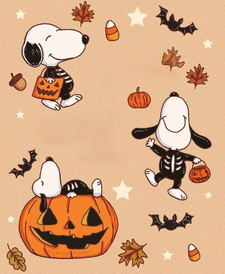 SnoopyFansUS's tweet photo. https://t.co/dT27Wj1Yk0