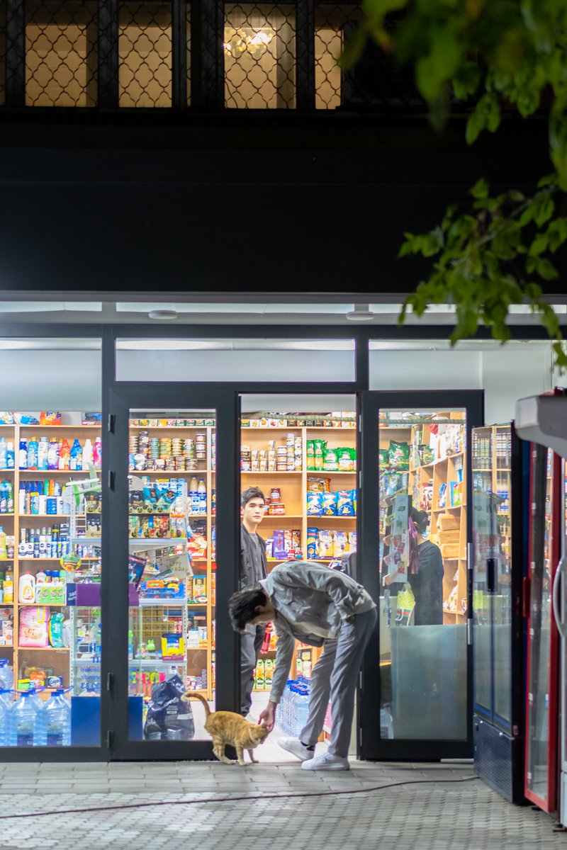genieBirchtl's tweet photo. Un seor me ayudó a llevar mis compras hasta el portal de mi piso hoy, la vida es tan cálida con estas pequeas gestos! https://t.co/HWQGheyNS7
