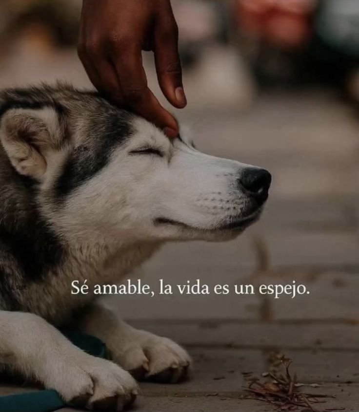 rey_latino33087's tweet photo. https://t.co/TG4Tzrp0co