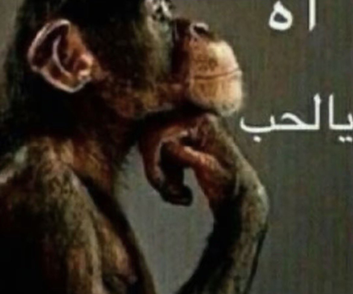 Bcvnil's tweet photo. انا بأهم فتر�� بحياتي https://t.co/oy6oVlyO7v