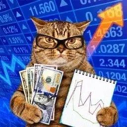 Vexrynx's tweet photo. What do you call a Quant Cat? A Qaunt. https://t.co/wT3a6rr2Wv