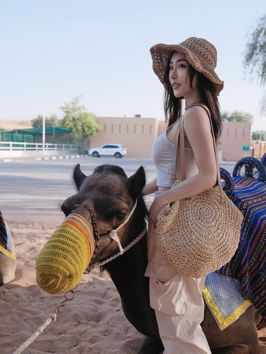 Anna_Muller_2's tweet photo. Camels have big eyes and long eyelashes, and their personalities are adorably goofy. 🐫 https://t.co/PmiJ6zIzwl