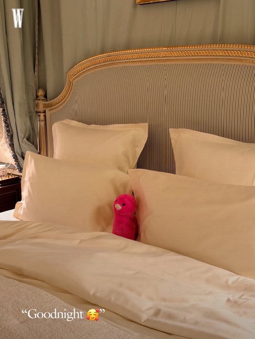 saintroseys's tweet photo. rosie got the pink alpaca from a theme park in sweden! https://t.co/lL1LvH0b3J