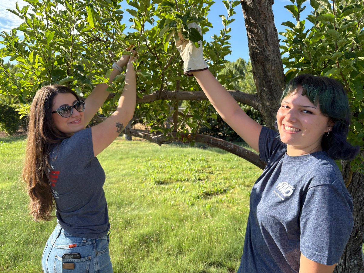 KCNSC's tweet photo. KCNSC New Mexico Operations employees went apple picking for a purpose: to donate fresh fruit for Seed2Need, an Albuquerque-based organization that provides fresh produce to local food pantries. KCNSC NMO volunteers picked 25 baskets of apples. #doworkthatmatters https://t.co/i1ltrrarnd