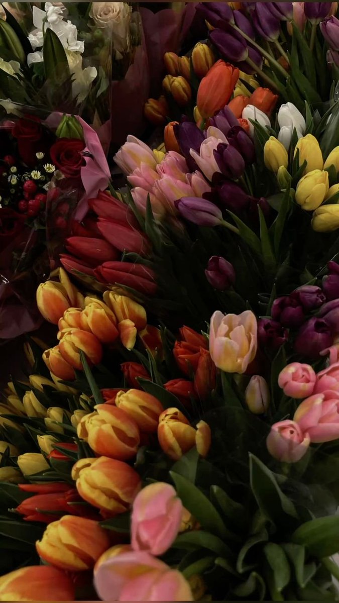 dreamyflowerrs tweet picture
