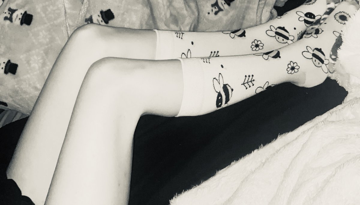 unicornmortuary's tweet photo. did my legs look small here https://t.co/7KzXaGUruX