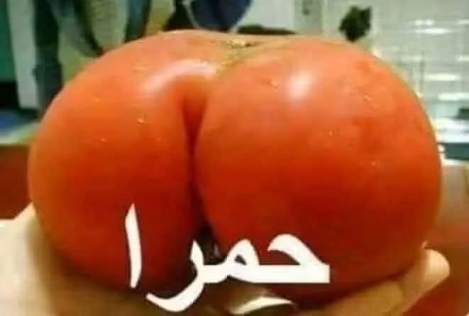 mzaher2010's tweet photo. @EdyCohen https://t.co/3Kwb2we9YO