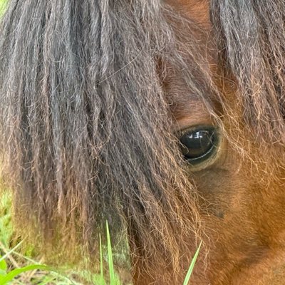 maroberts53's tweet photo. #NewProfilePic https://t.co/blCFXEf6VS