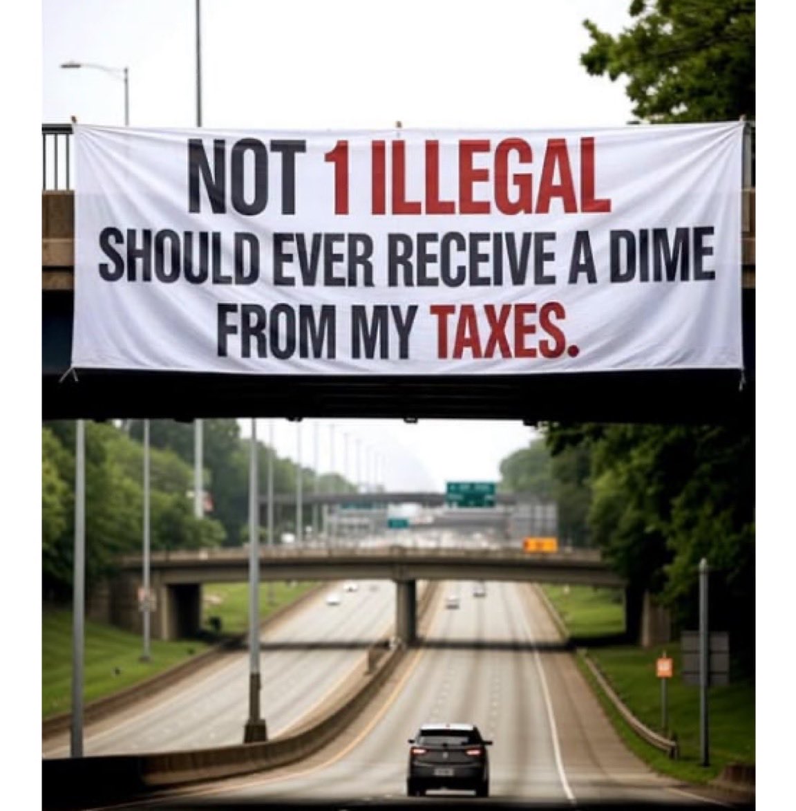 DaveXRPLion_Q's tweet photo. 🚨BOOM:

NOT 1 ILLEGAL SHOULD EVER RECEIVE A DIME FROM MY TAXES.

Do you agree?

YES or NO? https://t.co/GSte6Xp6dG